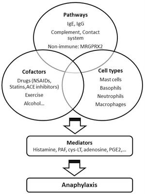 Mechanisms, Cofactors, and Augmenting Factors Involved in Anaphylaxis